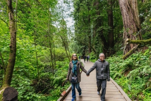 De São Francisco: Excursão a Muir Woods, Sausalito e Alcatraz