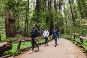 De São Francisco: Excursão a Muir Woods, Sausalito e Alcatraz
