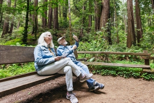 De São Francisco: Excursão a Muir Woods, Sausalito e Alcatraz