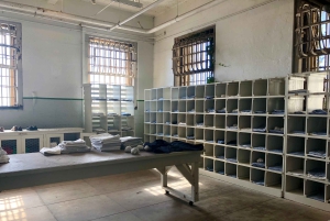 De São Francisco: Excursão a Muir Woods, Sausalito e Alcatraz