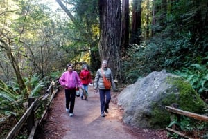 Da San Francisco: Tour del vino di Muir Woods con Napa e Sonoma