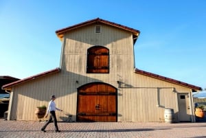 Desde San Francisco: Ruta del Vino por Muir Woods con Napa y Sonoma