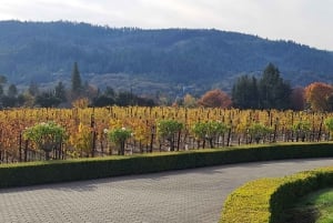 Depuis San Francisco : Visite privée des vignobles de Napa et de Sonoma