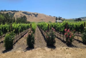 From San Francisco: Napa and Sonoma Private Wine Tour