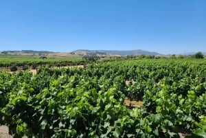 From San Francisco: Napa and Sonoma Private Wine Tour