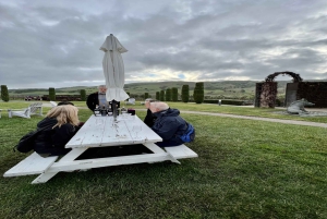 Från San Francisco: Napa och Sonoma privat vinrundtur