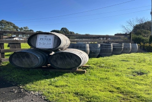 Från San Francisco: Napa och Sonoma privat vinrundtur