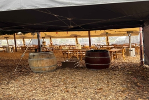 Från San Francisco: Napa och Sonoma privat vinrundtur