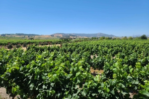 Från San Francisco: Napa och Sonoma privat vinrundtur