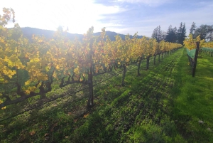 Från San Francisco: Napa och Sonoma privat vinrundtur