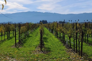 Från San Francisco: Napa och Sonoma privat vinrundtur