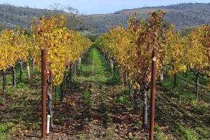 Från San Francisco: Napa och Sonoma privat vinrundtur