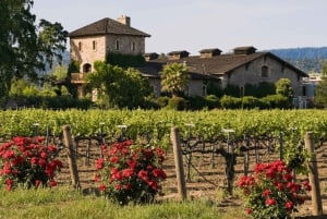 Fra San Francisco: Napa & Sonoma Wine Country Private Tour