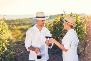 San Franciscosta: Napa & Sonoma Wine Country Private Tour