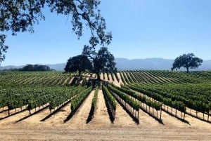 San Franciscosta: Napa & Sonoma Wine Country Private Tour