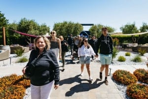 San Franciscosta: Napa & Sonoma Wine Country Private Tour