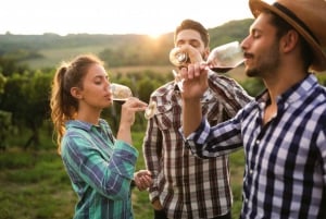 San Franciscosta: Napa & Sonoma Wine Country Private Tour