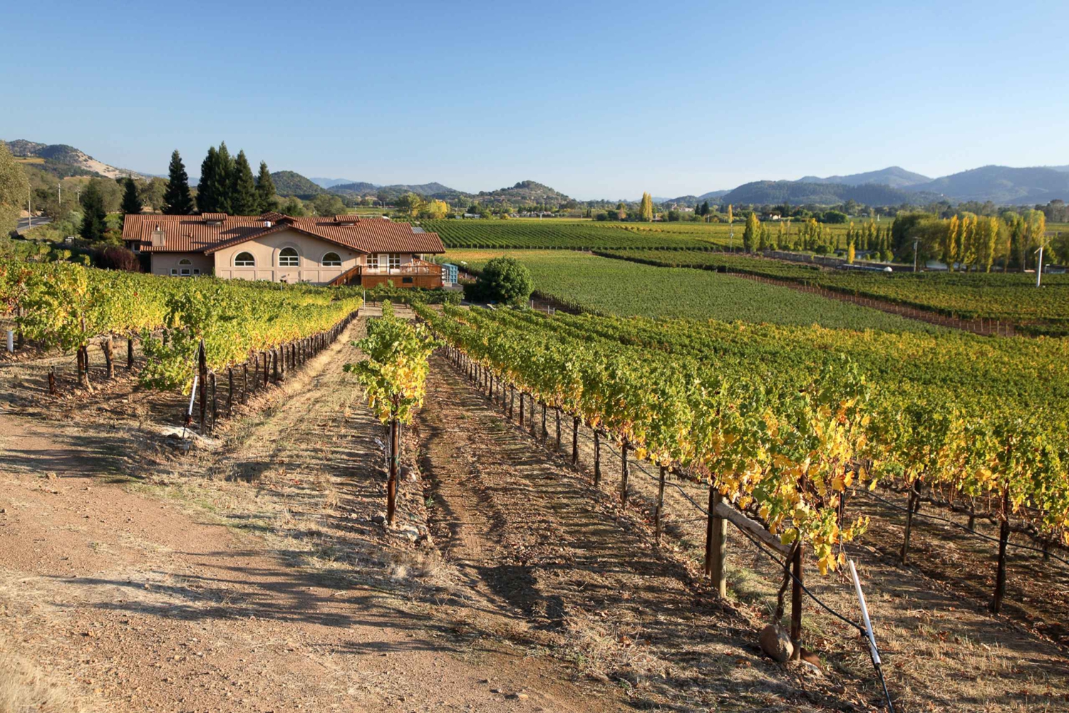 Da San Francisco: Tour privato della Napa Valley