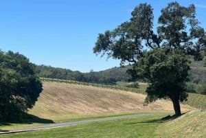 De São Francisco: Excursão particular ao Vale de Napa