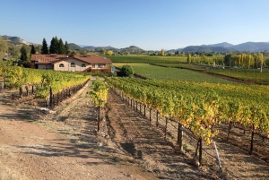 Da San Francisco: Tour privato della Napa Valley