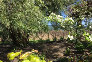 Da San Francisco: Tour privato della Napa Valley