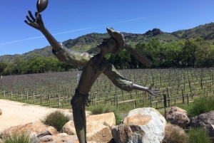 Da San Francisco: Tour privato della Napa Valley