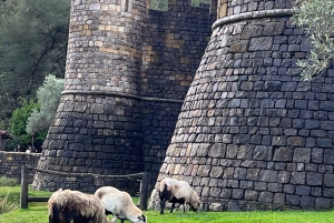 Da San Francisco: Tour privato della Napa Valley