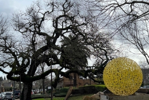 Da San Francisco: Tour privato della Napa Valley