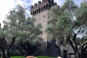 Da San Francisco: Tour privato della Napa Valley