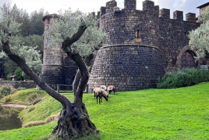 Da San Francisco: Tour privato della Napa Valley