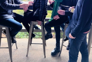 Da San Francisco: Tour privato della Napa Valley