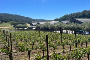 Da San Francisco: Tour privato della Napa Valley