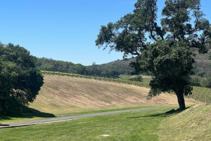 Da San Francisco: Tour privato della Napa Valley