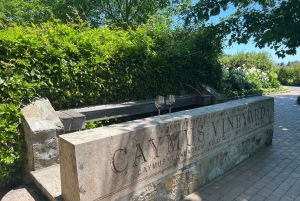 Da San Francisco: Tour privato della Napa Valley