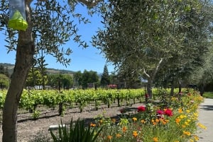 Da San Francisco: tour privato del vino nella Napa Valley e Sonoma