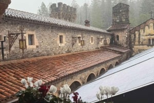 Från San Francisco: Rundtur på vingårdar i Napa Valley