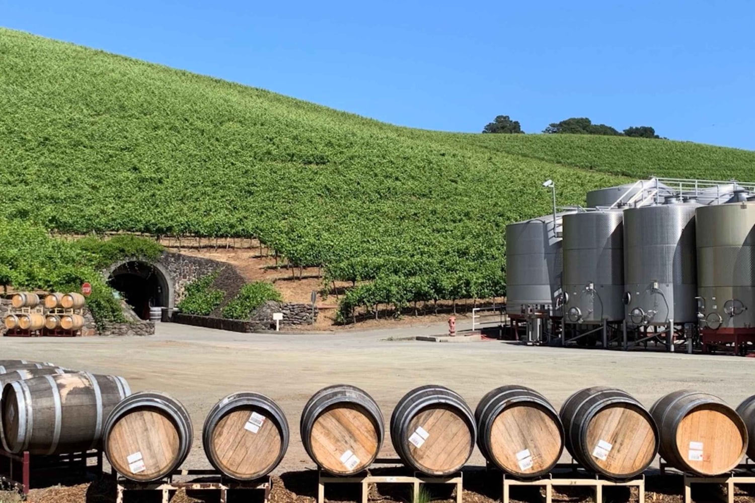 Fra San Francisco: Privat Muir Woods og Napa Wine Tour
