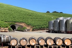 From San Francisco: Private Muir Woods and Napa Wine Tour