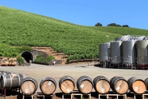 Fra San Francisco: Privat Muir Woods og Napa Wine Tour