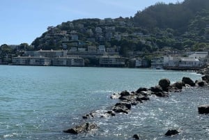 Fra San Francisco: Privat Muir Woods og Napa Wine Tour