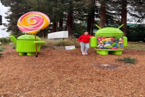 Fra San Francisco: Privat tur til Silicon Valley