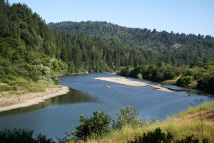 San Franciscosta: Redwoods and Wine Tasting