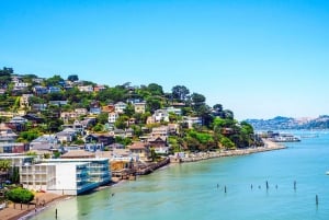 From San Francisco: Redwoods, Coast, and Sausalito Tour