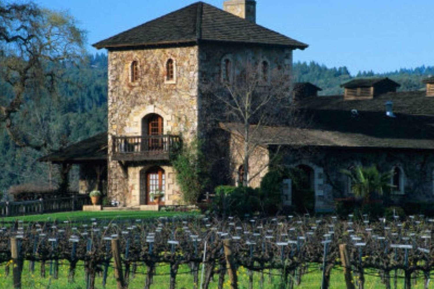 Depuis San Francisco : Visite du vignoble de St. Helena avec dégustations