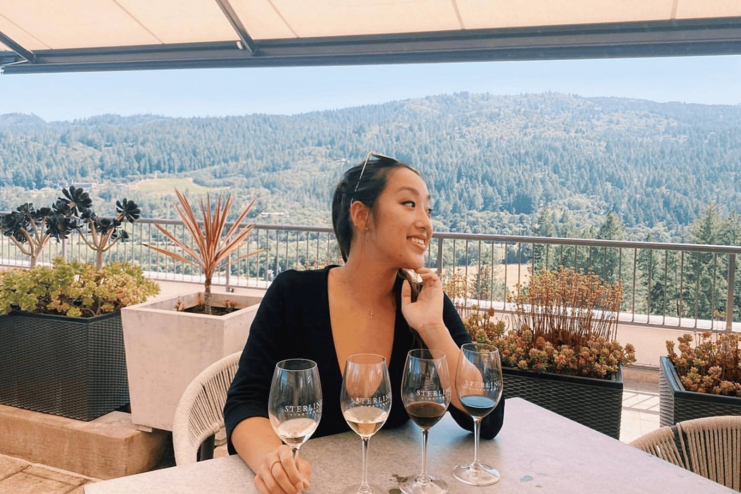 Vanuit San Francisco: Ultieme Napa Wijnland ervaring