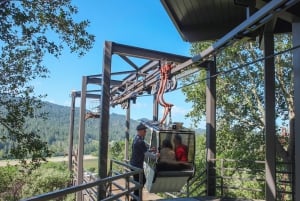 Från San Francisco: Den ultimata upplevelsen av Napa Wine Country