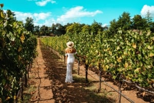 Från San Francisco: Den ultimata upplevelsen av Napa Wine Country