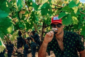 Från San Francisco: Den ultimata upplevelsen av Napa Wine Country