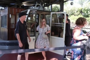 Från San Francisco: Den ultimata upplevelsen av Napa Wine Country