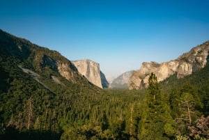 Day Trip to Yosemite with Giant Sequoias Hike